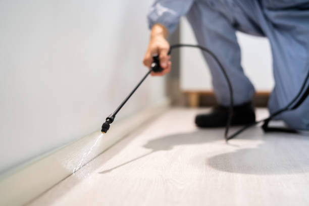 Licensed Cockroach Control service in Monroeville, AL - Nex Pest Control