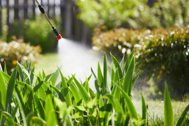 24/7 Emergency Cockroach Control experts in Monroeville, AL