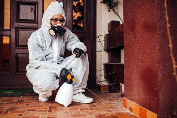Reliable Cockroach Control contractor in Monroeville, AL by Nex Pest Control
